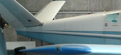 beech 01